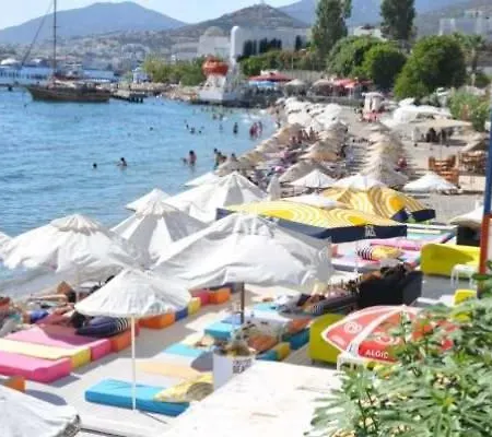 Mesut Apart * Bodrum